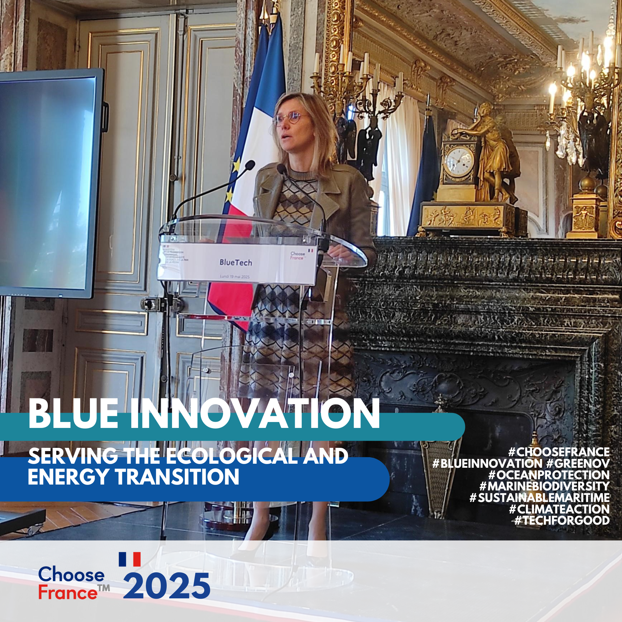 Blue Innovation – Serving The Ecological and Energy Transition