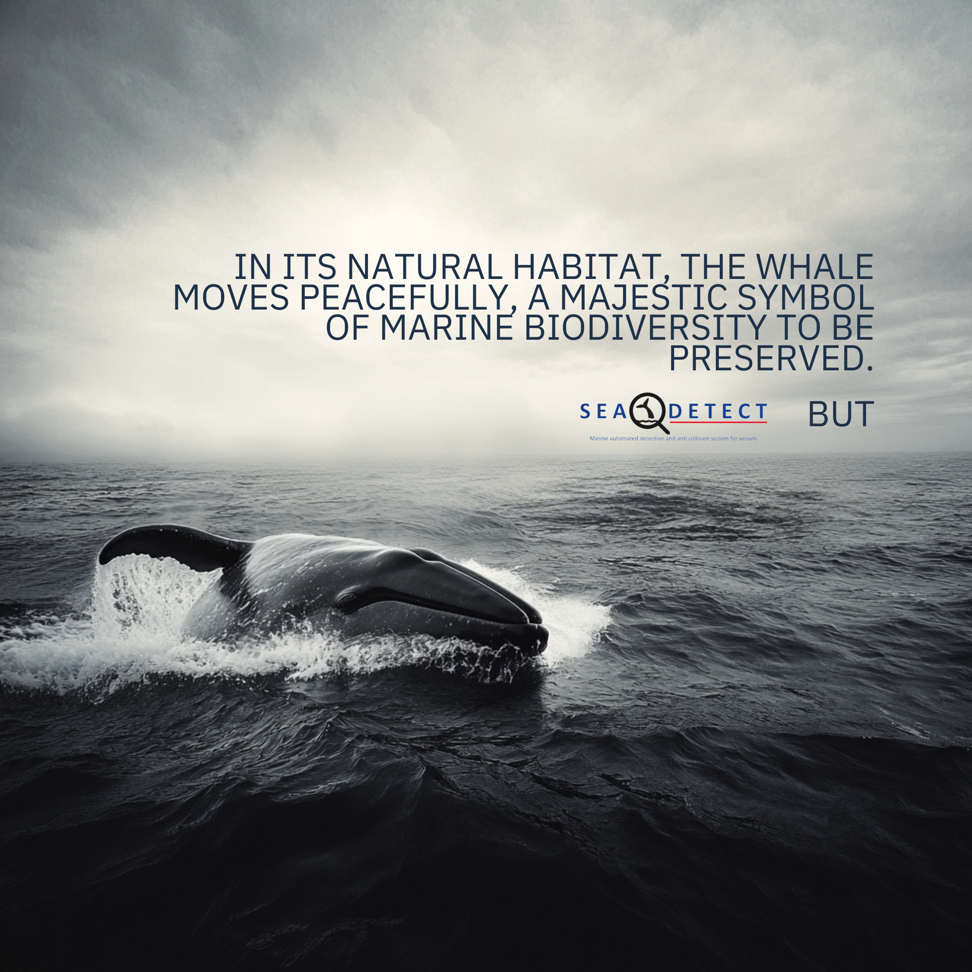 To protect these ocean giants