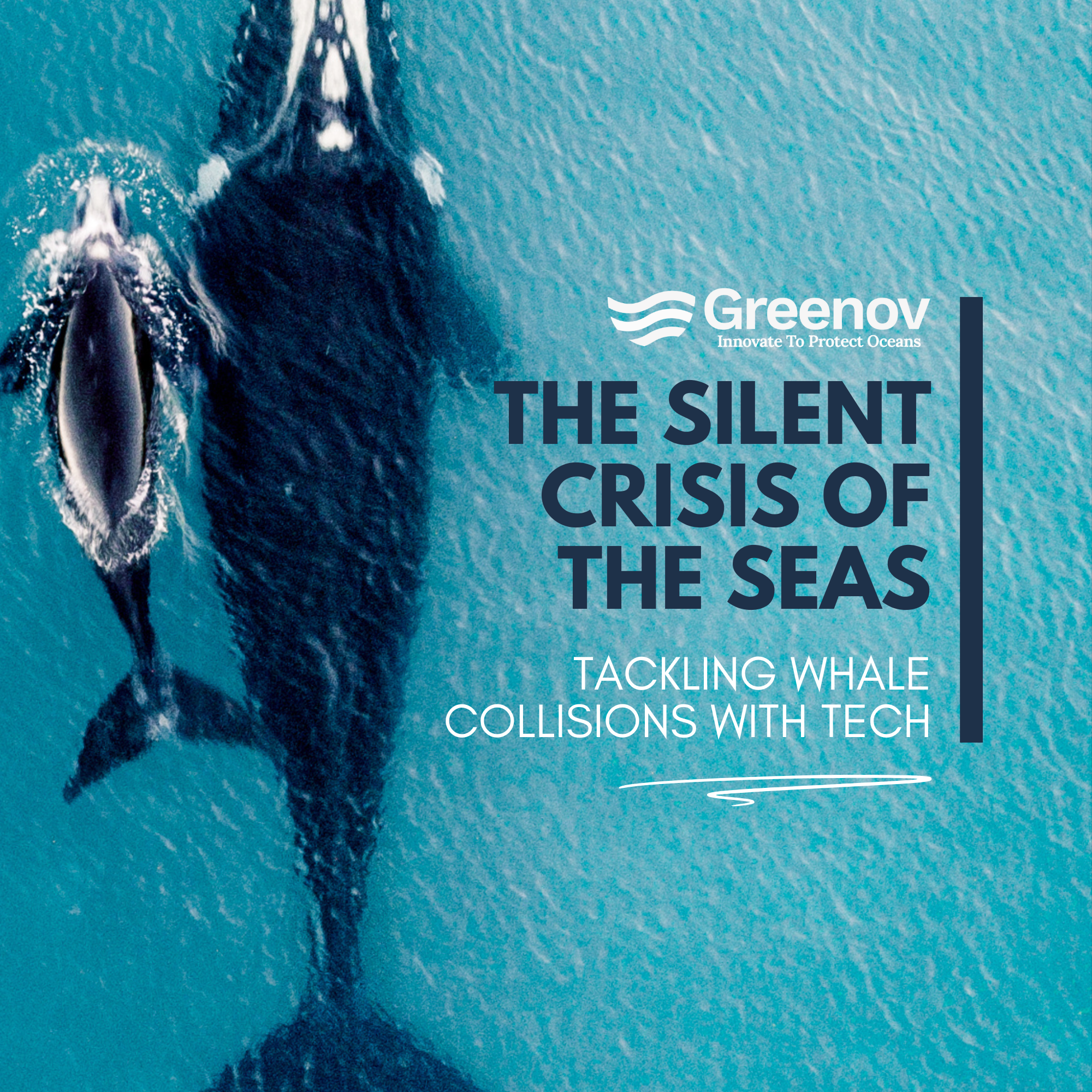 The Silent Crisis of the Seas